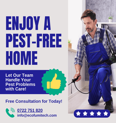#1 Residential Fumigation Services In Nairobi | Ecofumitech