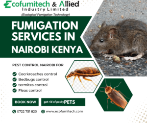 best fumigation pest-control services in nairobi kenya, Fumigation Pest Control, Fumigation Pest Control Services, Pest Control Services in Nairobi, Fumigation Pest Control Services in Nairobi, Fumigation Pest Control Services in Nairobi Kenya, fumigation companies in Kenya, fumigation services nairobi, Fumigation Services company in Nairobi Kenya, Pest Control Company Kenya, pest control company, fumigation company, Affordable Fumigation, Pest Control Services in Nairobi Kenya, affordable pest control, affordable fumigation services, Fumigation Services in Nairobi, Fumigation in kenya, fumigation and pest control, pest control business, pest control, bed bug control, pest control companies in kenya, pest control prices, fumigation services cost, anti termite treatment, pest control cost, home fumigation services, bed bugs control services, bed bug fumigation cost, bedbugs control services in kenya, bug exterminator near me, rodent pest control, best pest control for cockroaches, pest control services in nairobi, termite pest control services, affordable pest fumigation company, bedbugs control services, roach fumigation, pest problem, cockroach fumigation near me, cheapest termite treatment, exterminator, pest removal, ant pest control, rodent control, exterminating, termite control, Fumigation Pest Control Services Nairobi Kenya, Fumigation Pest Control Services in Kenya, Fumigation Pest Control Nairobi, Fumigation Pest Control Kenya,best fumigation services in Nairobi, Fumigation services Nairobi, Best pest control Nairobi, Affordable fumigation Nairobi, Fumigation companies Nairobi, Pest extermination Nairobi, Termite fumigation Nairobi, Residential fumigation Nairobi, Commercial fumigation services Nairobi, Eco-friendly fumigation Nairobi, Fumigation rates Nairobi, Pest management Nairobi, Reviews of fumigation services Nairobi, Emergency fumigation services Nairobi, Quality pest control Nairobi, Professional fumigation Nairobi, Local fumigation experts Nairobi, Fumigation service providers Nairobi, Fumigation for bed bugs Nairobi, Pest control near me Nairobi, Fast fumigation services Nairobi