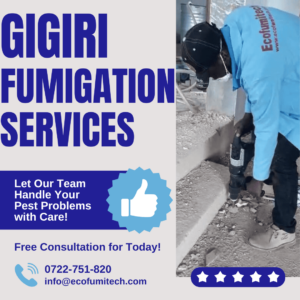 pest control Gigiri, pest control services in Gigiri, pest control in Gigiri, pest control services Gigiri, Gigiri pest control services, fumigation services in Gigiri, fumigation services and pest control in Gigiri, pest extermination services in Gigiri, pest elimination services in Gigiri, Gigiri pest control services, Gigiri pest extermination services, bedbugs control services in Gigiri, cockroaches control services in Gigiri, bats control services in Gigiri, termites control services in Gigiri, pest control services near Gigiri, fumigation services near Gigiri, pest eradication services in Gigiri, pest control companies in Gigiri,  Gigiri fumigation, pest control services company Gigiri, fumigation and pest control services in Gigiri, pest control and fumigation services in Gigiri, expert pest control company in Gigiri, pest control in Gigiri, fumigation in Gigiri, pest control service in Gigiri, fumigation service in Gigiri, pest control in Gigiri, professional fumigation services in Gigiri, pest services in Gigiri, pest exterminator in Gigiri, top best pest control services company in Gigiri, pest control management in Gigiri, Pest control services in Gigiri, fumigation in Gigiri, pest control in Gigiri, Gigiri fumigation services, Gigiri Expert Fumigation, Gigiri Pest Control Services, fumigation pest control in Gigiri, fumigation services pest control in Gigiri, Gigiri pest control services, Gigiri fumigation services, pest control in Gigiri, Gigiri pest control services, Gigiri pest extermination services, bedbugs control services in Gigiri, cockroaches control services in Gigiri, bats control services in Gigiri, termites control services in Gigiri, pest control services Gigiri, Gigiri fumigation and pest control services company, fumigation and pest control services in Gigiri, Gigiri fumigation services in Gigiri, fumigation service Gigiri, pest control services near Gigiri, fumigation services near Gigiri, Gigiri fumigation service, fumigation company in Gigiri, Fumigation services in Gigiri, pest control services in Gigiri, pest control services in Gigiri, Fumigators in Gigiri, pest control services near Gigiri, pest control in Gigiri, fumigation services and pest control in Gigiri, fumigation services near Gigiri, Gigiri fumigation services, Gigiri pest control services, Gigiri pest extermination services, bedbugs control services in Gigiri, cockroaches control services in Gigiri, bats control services in Gigiri, termites control services in Gigiri, pest control services Gigiri, pest control services company Gigiri, eliminating pests in Gigiri, fumigation and pest control services in Gigiri, Gigiri pest control services, Gigiri fumigation and pest control company in Gigiri, professional exterminator near Gigiri, Gigiri fumigation services, fumigation service Gigiri, Gigiri fumigation services, fumigation company in Gigiri, pest control companies in Gigiri, pest elimination services in Gigiri, pest extermination services in Gigiri, fumigation in Gigiri, pest eradication services in Gigiri, pest control service providers in Gigiri, fumigation service providers in Gigiri, pest control and fumigation services in Gigiri, fumigation and pest control services in Gigiri, pest control in Gigiri, Pest extermination services in Gigiri, Gigiri pest control services, general pest control in Gigiri, pest control in Gigiri, Gigiri pest control services, pests extermination services in Gigiri, fumigation services in Gigiri, pest extermination in Gigiri, pest elimination services in Gigiri, pest eradication services in Gigiri, pest control companies in Gigiri, fumigation and pest control services in Gigiri, pest control and fumigation services in Gigiri, expert pest control company in Gigiri, pest control in Gigiri, fumigation in Gigiri, pest control service in Gigiri, fumigation service in Gigiri, pest control in Gigiri, professional fumigation services in Gigiri, pest services in Gigiri, pest exterminator in Gigiri, top best pest control services company in Gigiri, pest control management in Gigiri, Pest control in Gigiri, fumigation prices in Gigiri, Gigiri pest control services, pest control services prices in Gigiri, fumigation services prices in Gigiri, cost of fumigation services in Gigiri, pest extermination prices in Gigiri, fumigation services cost in Gigiri, pest control pricelist in Gigiri, how much is pest control services in Gigiri?, how much is fumigation services cost in Gigiri?, pest extermination prices in Gigiri, bedbugs control services prices in Gigiri, cockroaches control services prices in Gigiri, how much does an exterminator cost in Gigiri?, termites control services prices in Gigiri, bats control services prices in Gigiri, fumigation services near me Gigiri, pest control services near me Gigiri, expert pest exterminator, bedbugs control services in Gigiri, bats control services in Gigiri, termites control services in Gigiri, cockroaches control services in Gigiri, mosquitoes control services in Gigiri, ants control services in Gigiri, feral cats control services in Gigiri, rats control and other general pest infestation management services in Gigiri