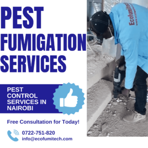 local pest control companies in Kenya, cheap fumigation, cheap pest control, cheap pest control near me, cheap pest control services, cheap pest control services in Nairobi, cheap fumigation services near me, pest control, affordable fumigation services near me, fumigation services near me, fumigators near me, fumigation companies in Kenya